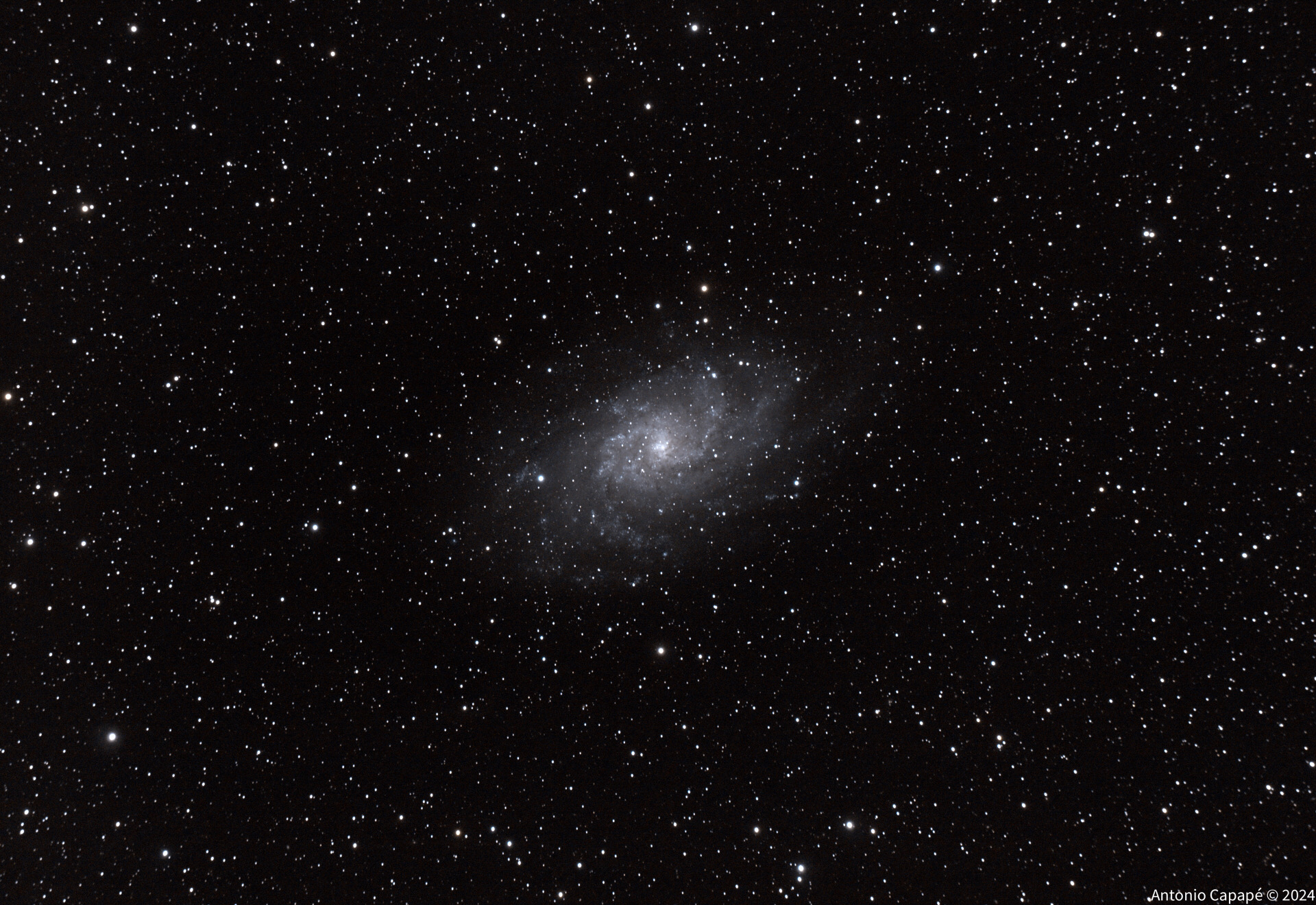 M33 Galaxy!