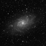 M33