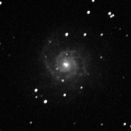 M74