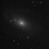 M81