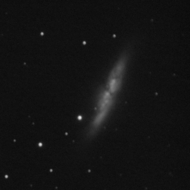 M82